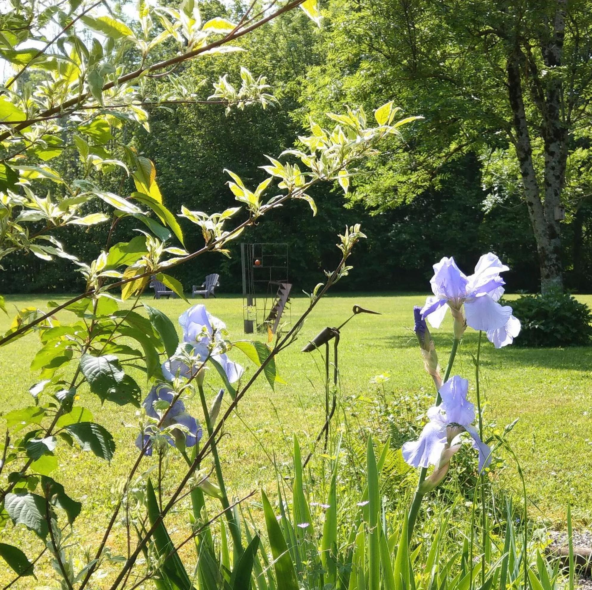 Domaine De L'Olifant Bed and Breakfast Champanges Buitenkant foto