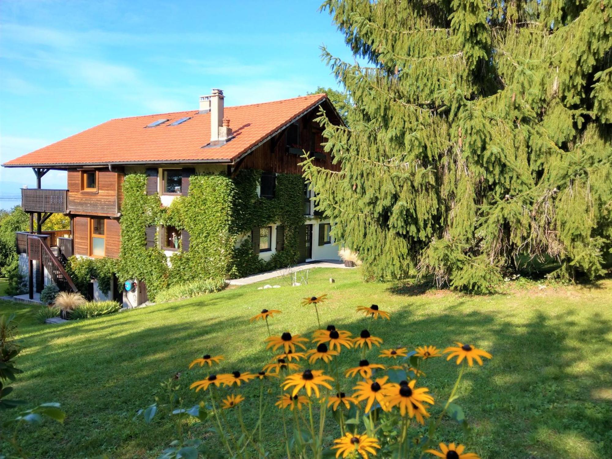 Domaine De L'Olifant Bed and Breakfast Champanges Buitenkant foto