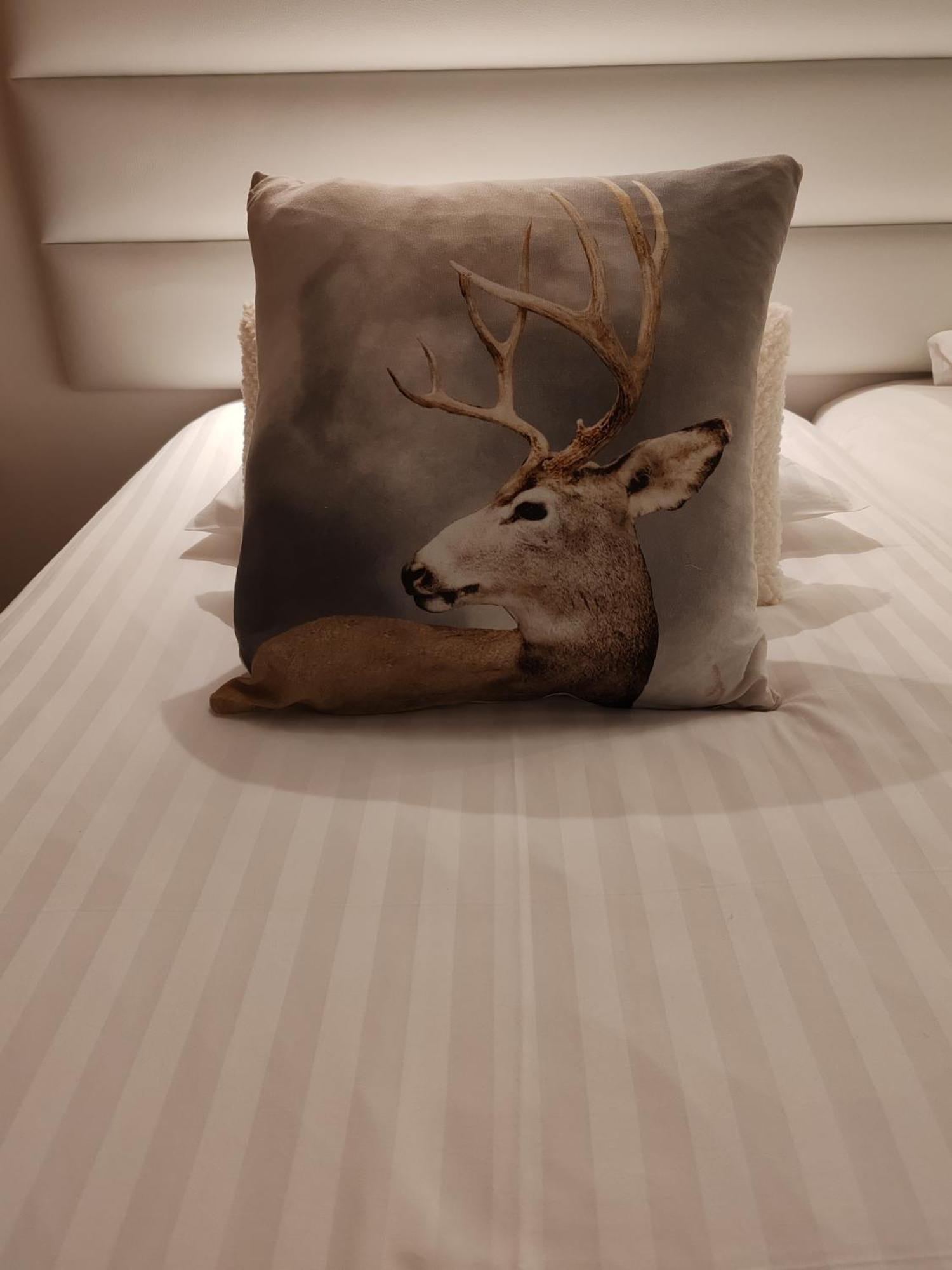 Domaine De L'Olifant Bed and Breakfast Champanges Kamer foto