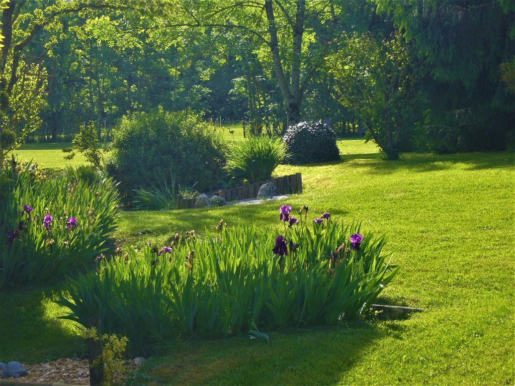 Domaine De L'Olifant Bed and Breakfast Champanges Buitenkant foto