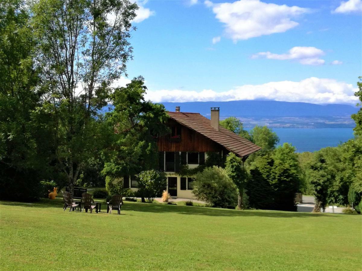 Domaine De L'Olifant Bed and Breakfast Champanges Buitenkant foto